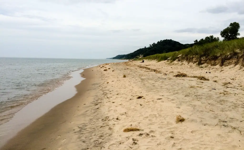 Lake Michigan shore and sand dunes at Saugatuck Dunes State Park in Saugatuck, Michigan