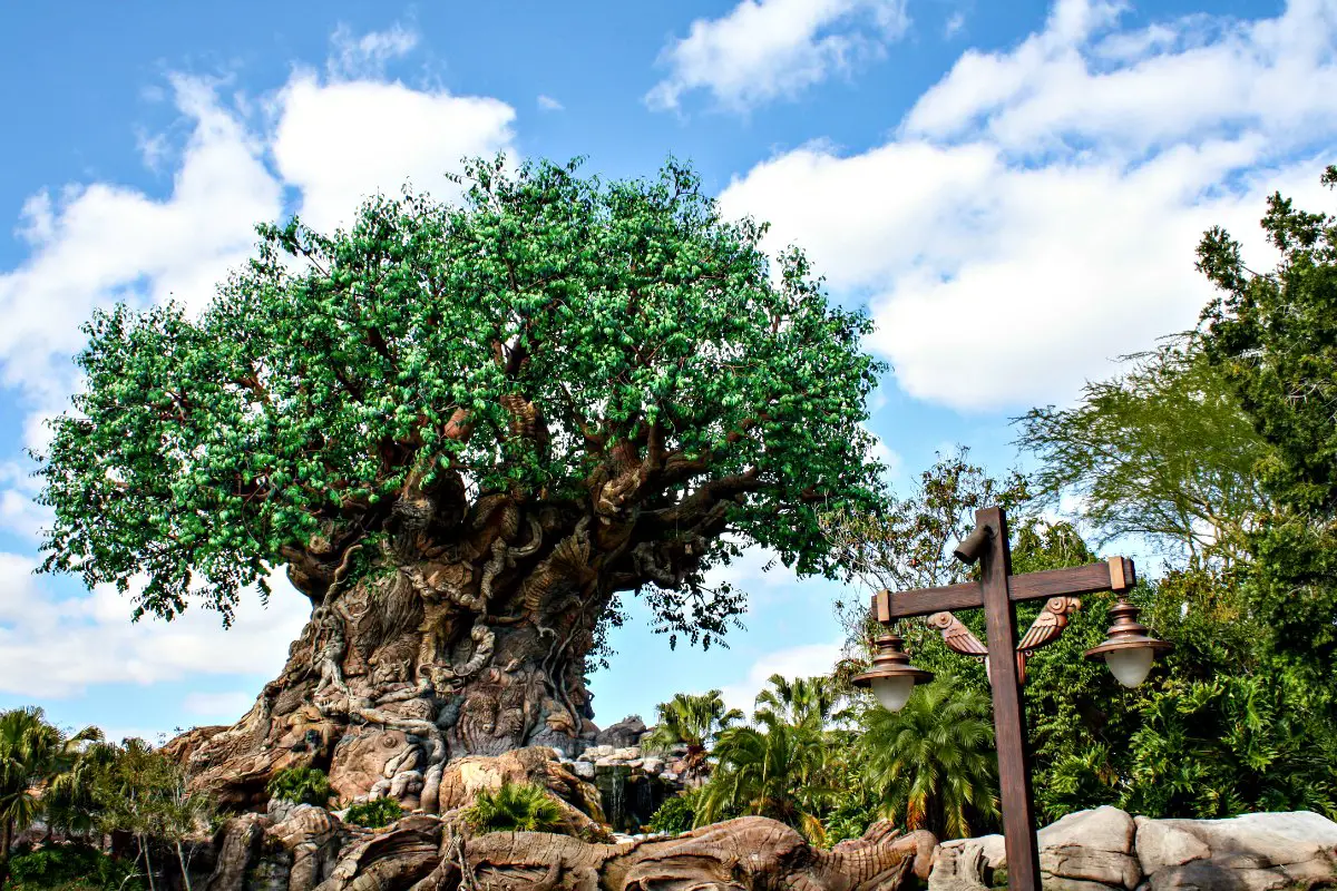 Animal Kingdom | EpicureanTravelerBlog.com