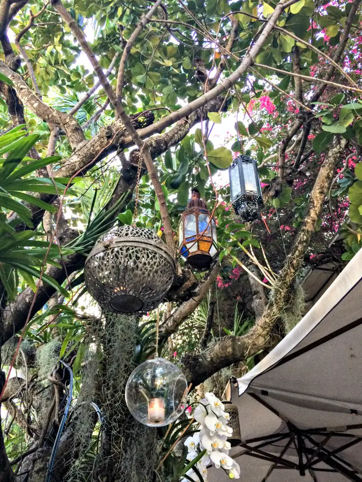 Lanterns hang throughout the lush garden of Casa Tua Restaurant in Miami Beach, Florida | EpicureanTravelerBlog.com