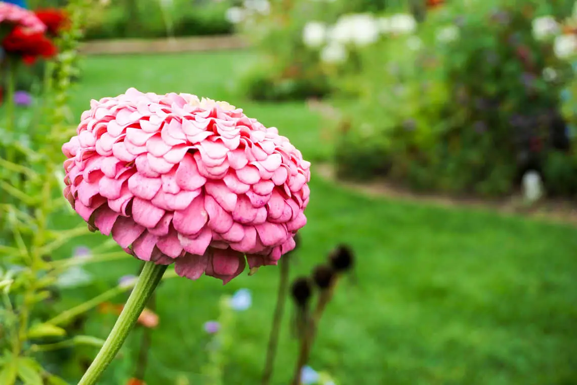 Rotary Botanical Gardens in Janesville, Wisconsin, USA 