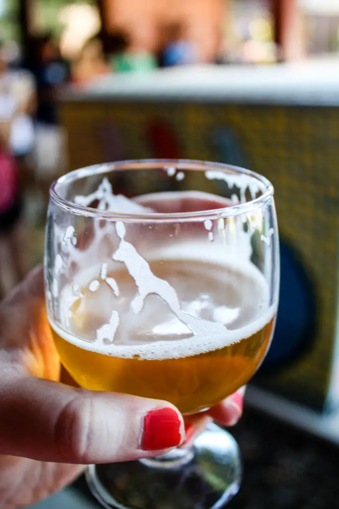 New Belgium Saison in a tasting glass during a New Belgium brewery tour
