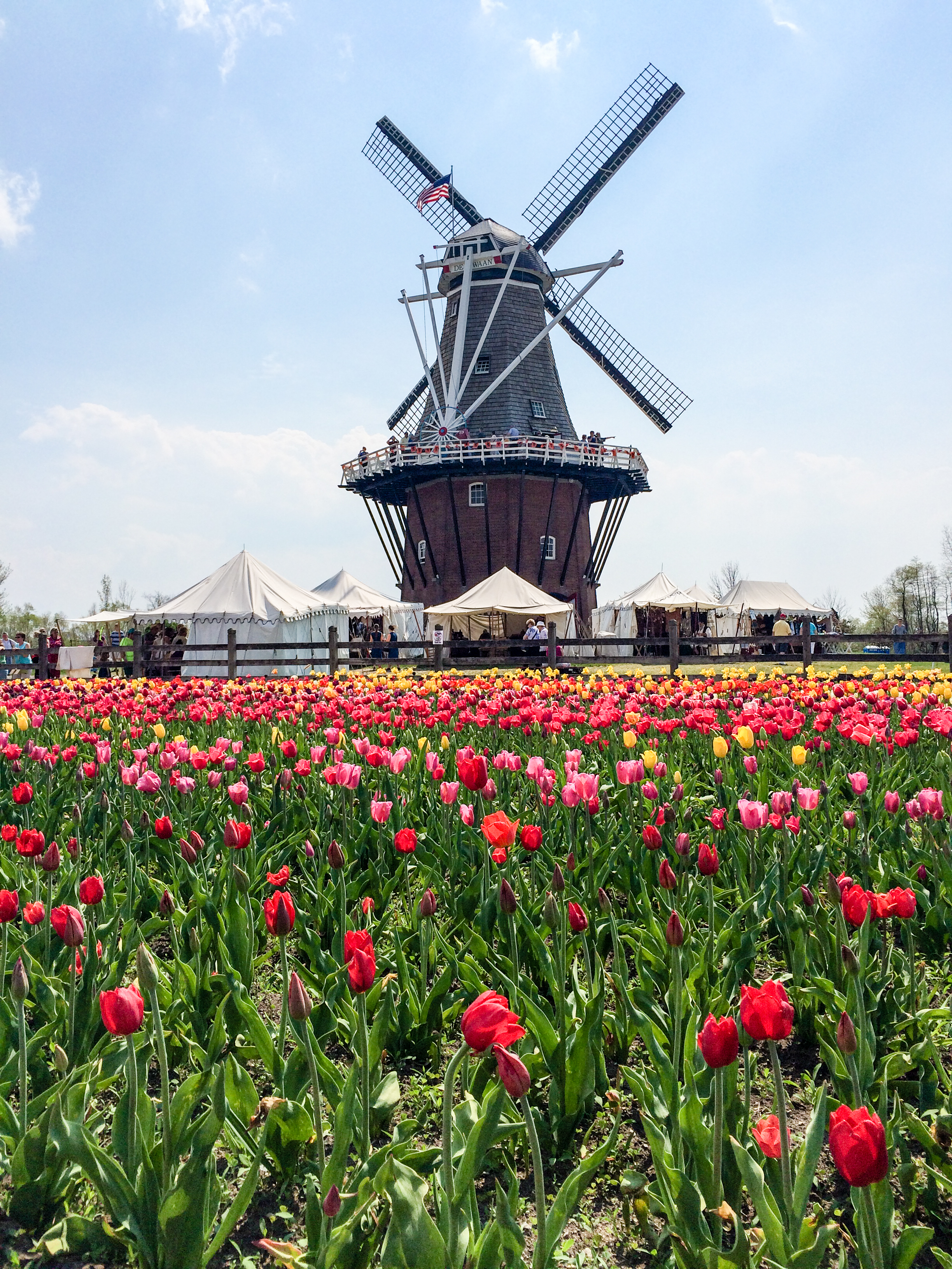 Tulip Time Festival Guide: How to See Tulips in Holland, Michigan