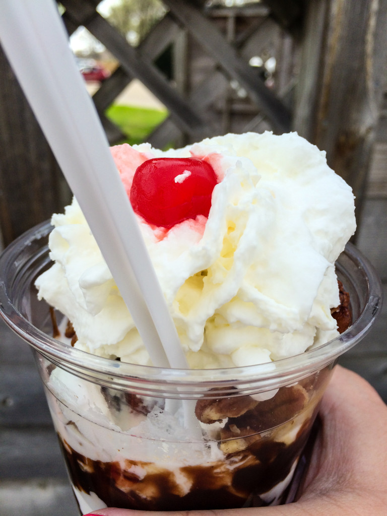 The Tommy Turtle at Captain Sundae in Holland, Michigan | The Epicurean Traveler