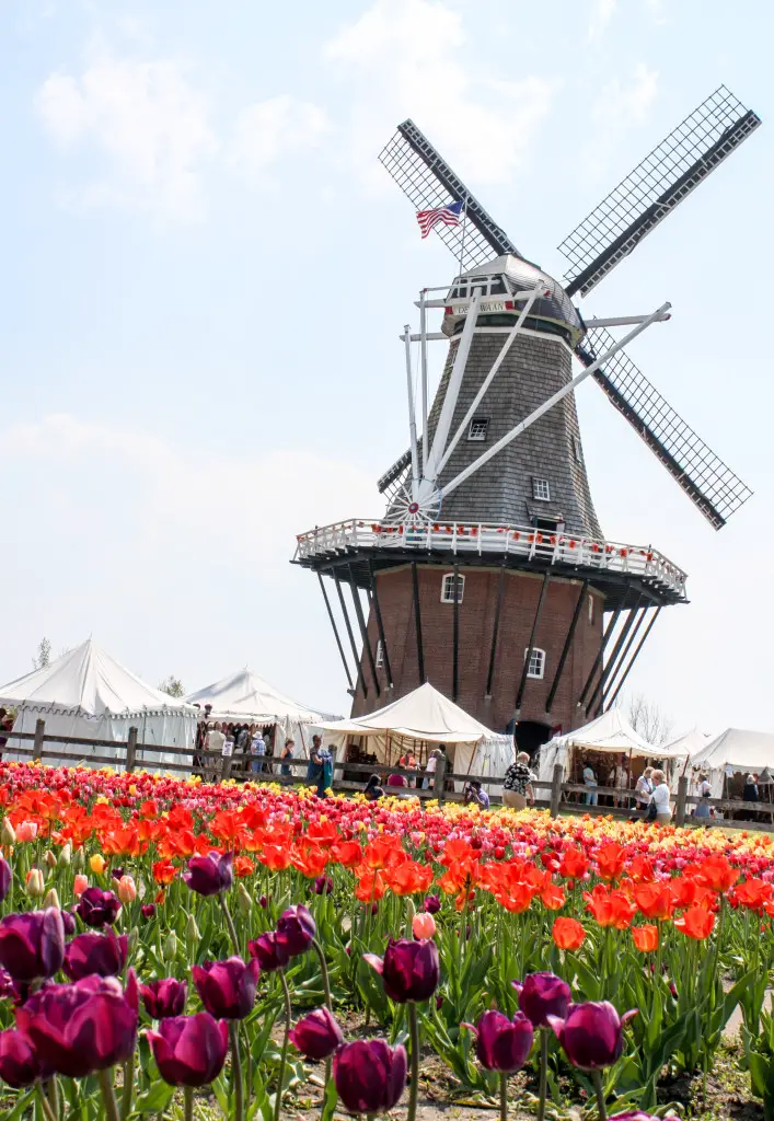 Windmill Island Gardens (Erin Klema/The Epicurean Traveler)