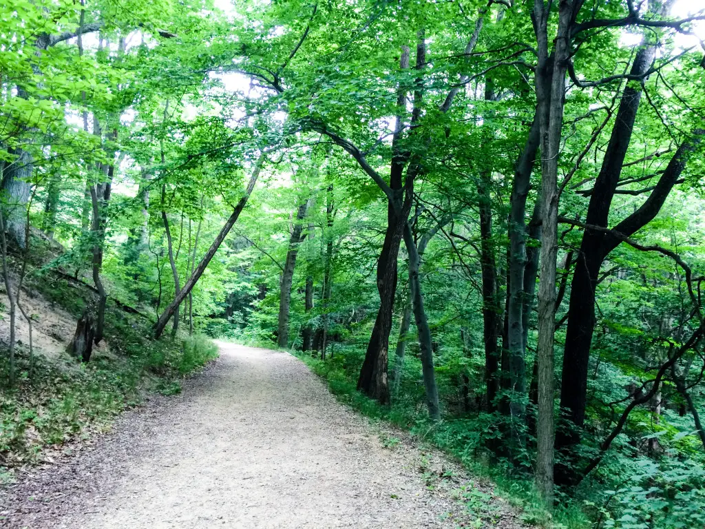 A trail winds through the woods to the beach at Saugatuck Dunes State Park in Saugatuck, Michigan.