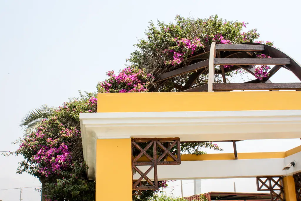 Flower Trellises in Chosica, Peru | The Epicurean Traveler