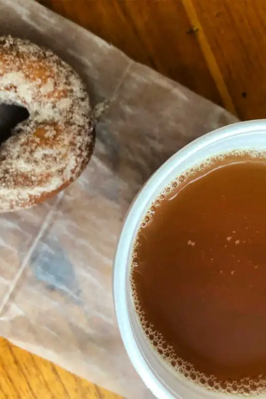 Cinnamon-sugar doughnut and apple cider