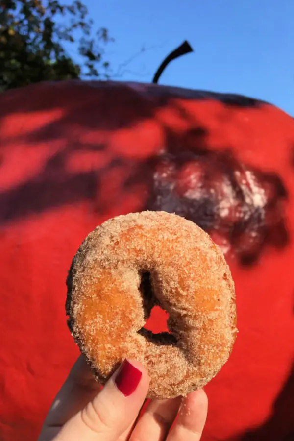 Robinette's Donut