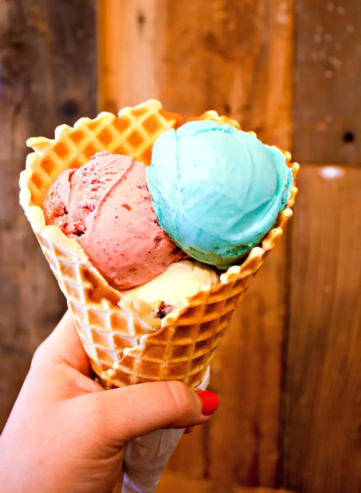 Browndog Creamery's ice cream in Northville, Michigan
