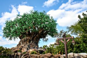 Animal Kingdom | EpicureanTravelerBlog.com