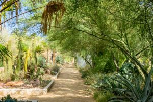 The botanical garden at The Springs Preserve in Las Vegas, Nevada, United States