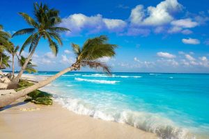 Tropical beach with aqua blue waves rolling onto sandy beach with palm trees in Playa del Carmen, Mexico