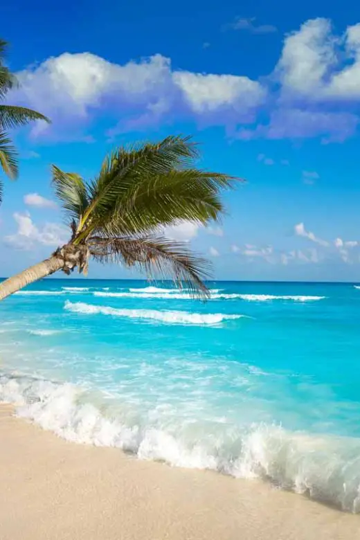 Tropical beach with aqua blue waves rolling onto sandy beach with palm trees in Playa del Carmen, Mexico