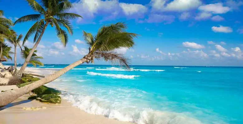 Tropical beach with aqua blue waves rolling onto sandy beach with palm trees in Playa del Carmen, Mexico