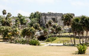 Mayan ruins surrounded by palm trees and tropical plants in Tulum, Mexico