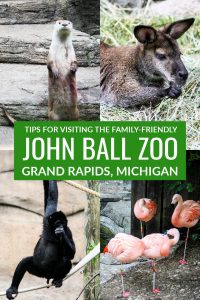 Tips for Visiting the Family-Friendly John Ball Zoo in Grand Rapids, Michigan