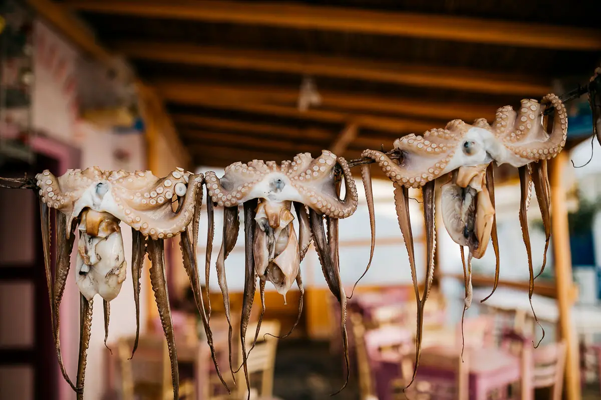 Octopi hang to dry at a restaurant on the Cyclades island of Paros in Greece