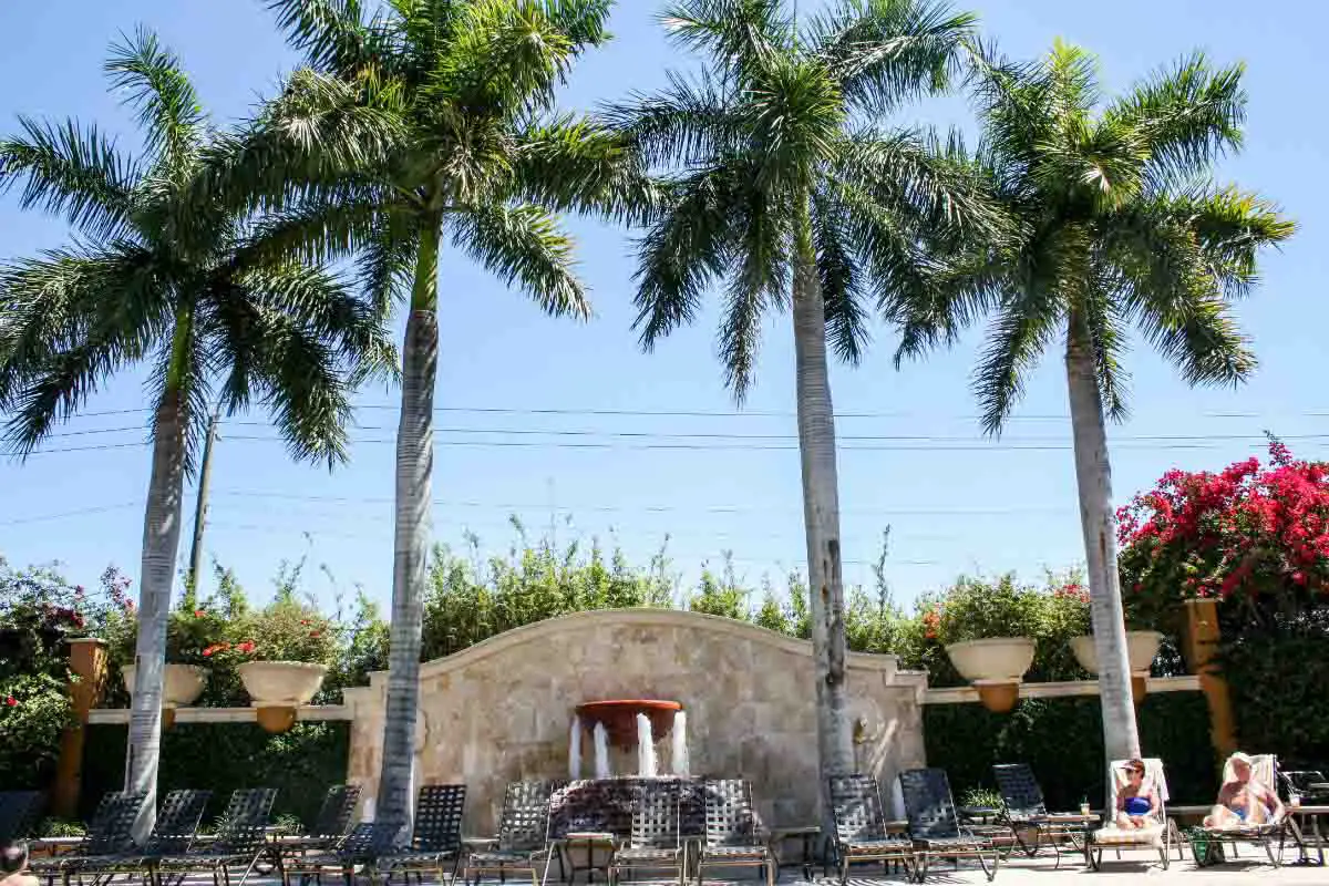 Bellasera Resort pool in Naples, Florida