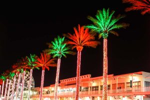 Palm trees wrapped in holiday lights twinkle as their leaves are lit with green and red lights during Christmastime at The Wharf in Orange Beach, Alabama