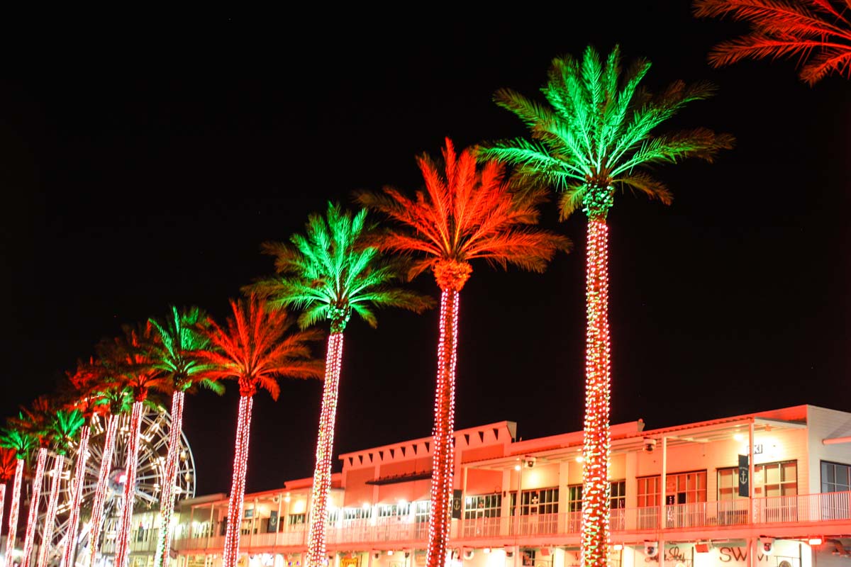 Palm trees wrapped in holiday lights twinkle as their leaves are lit with green and red lights during Christmastime at The Wharf in Orange Beach, Alabama