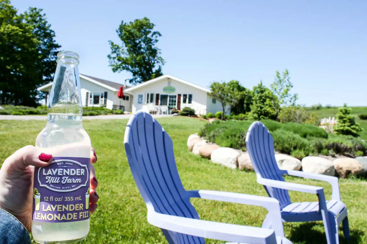 Lavender Hill Farm in Boyne City, Michigan, USA