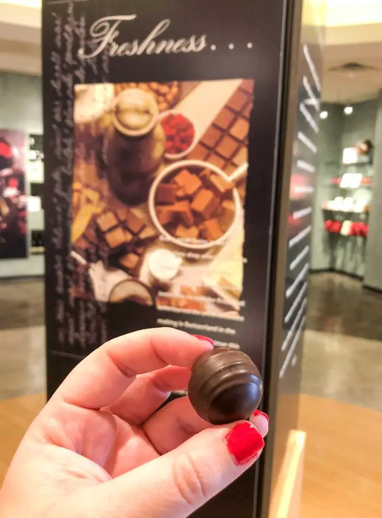 Chocolate truffle at Holl's Chocolates in Vienna, West Virginia, USA