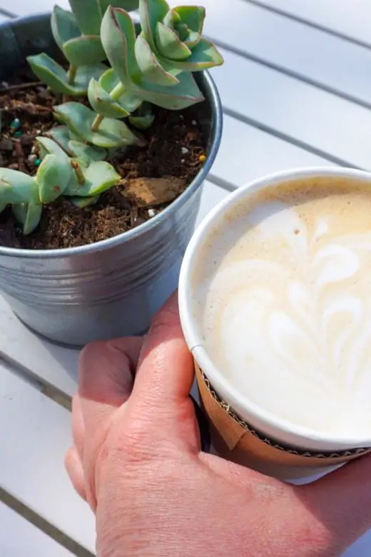 A woman's hand holds a lavender and honey latte outside an a coffee shop in Ann Arbor, Michigan