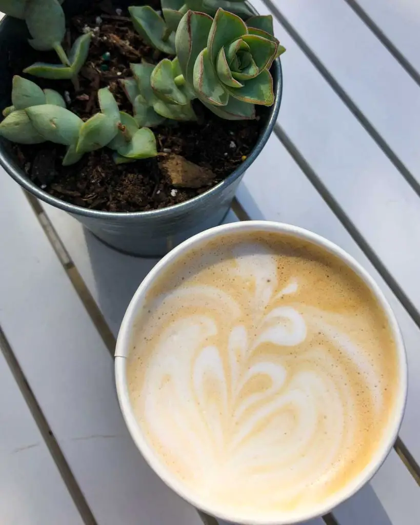 Lavender and honey latte with beautiful latte art sits on an outdoor table with a potted succulent plant at LAB CAFE in Ann Arbor, Michigan, USA