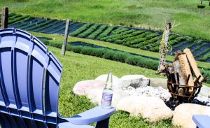 Lavender Hill Farm in Boyne City, Michigan