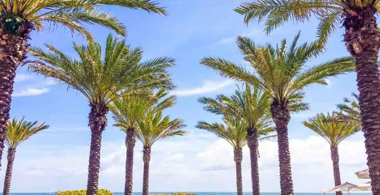 Grand Beach Hotel Surfside in Surfside, Florida