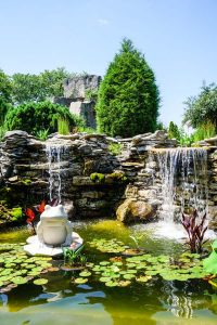 Lily-pad pond at Oliver Winery in Bloomington, Indiana