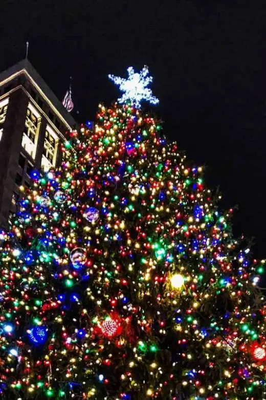 Detroit Christmas Tree at Campus Martius Park