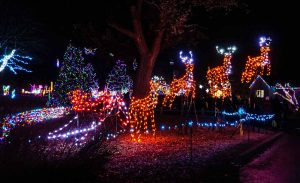 Santa's sleigh and reindeer light display at Wild Lights at Detroit Zoo