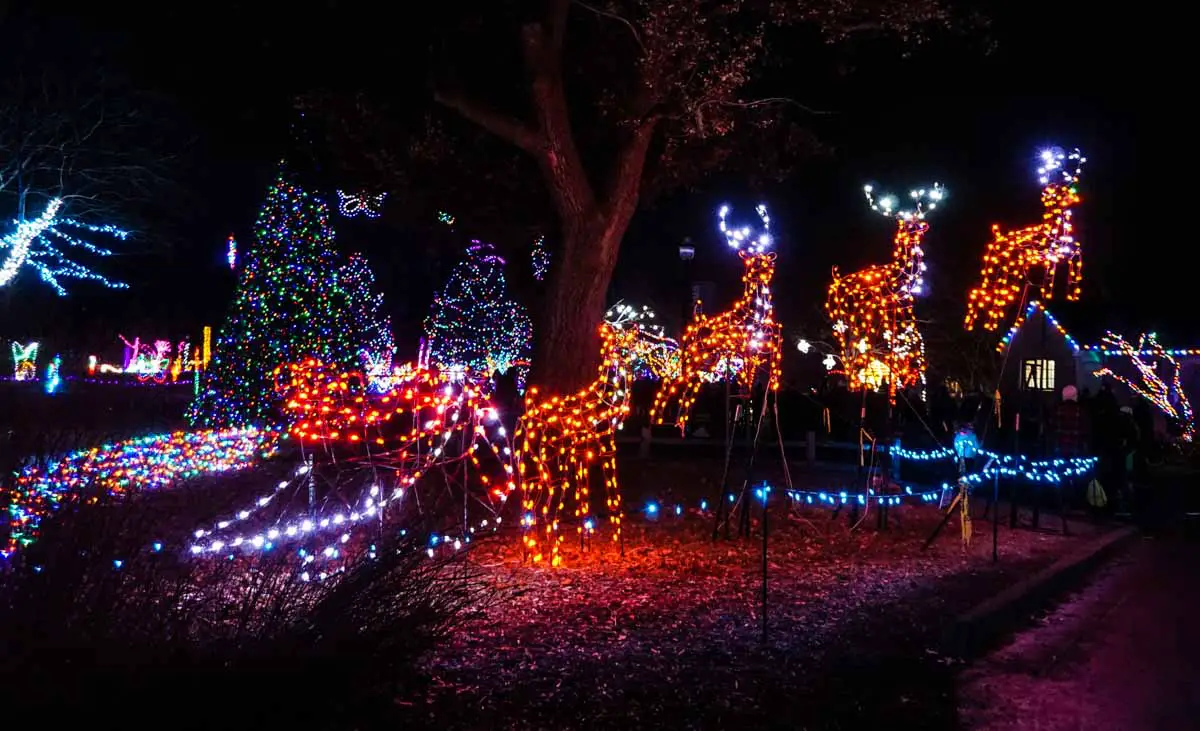 Santa's sleigh and reindeer light display at Wild Lights at Detroit Zoo