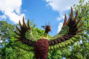 Phoenix living sculpture at Atlanta Botanical Garden in May 2019