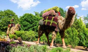 Atlanta Botanical Garden living sculptures of camels