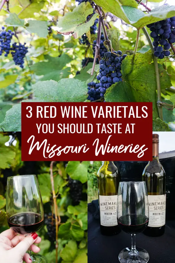 3 Red Wine Varietals You Should Taste at Missouri Wineries