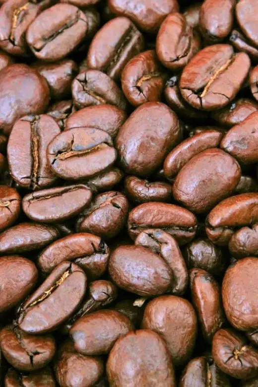 Roasted Coffee Beans