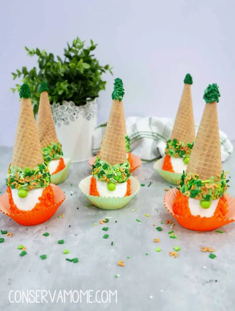 Leprechaun gnome treats