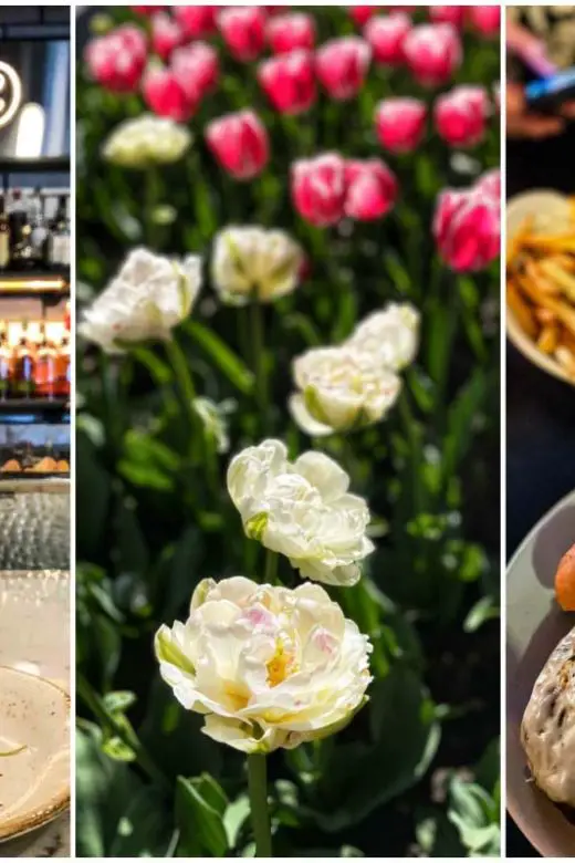 Holland, Michigan, collage with Seventy-Six restaurant, tulips, and meal of burgers and fries at Waverly Stone Gastropub