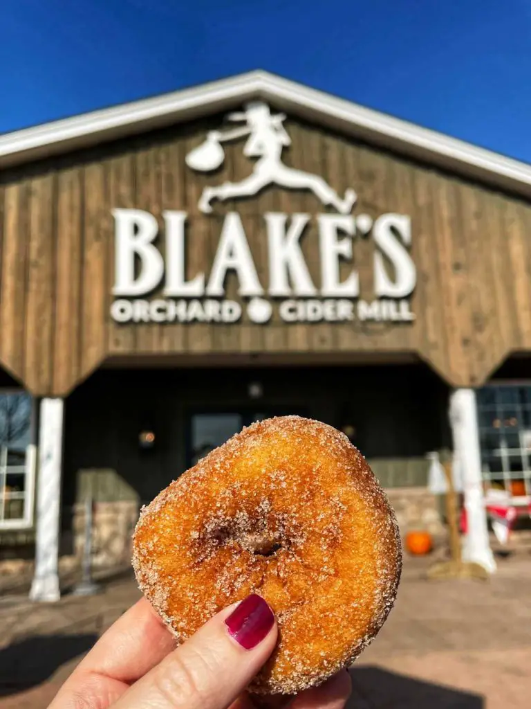 Cinnamon sugar doughnut at Blake's Orchard & Cider Mill in Armada, Michigan, USA