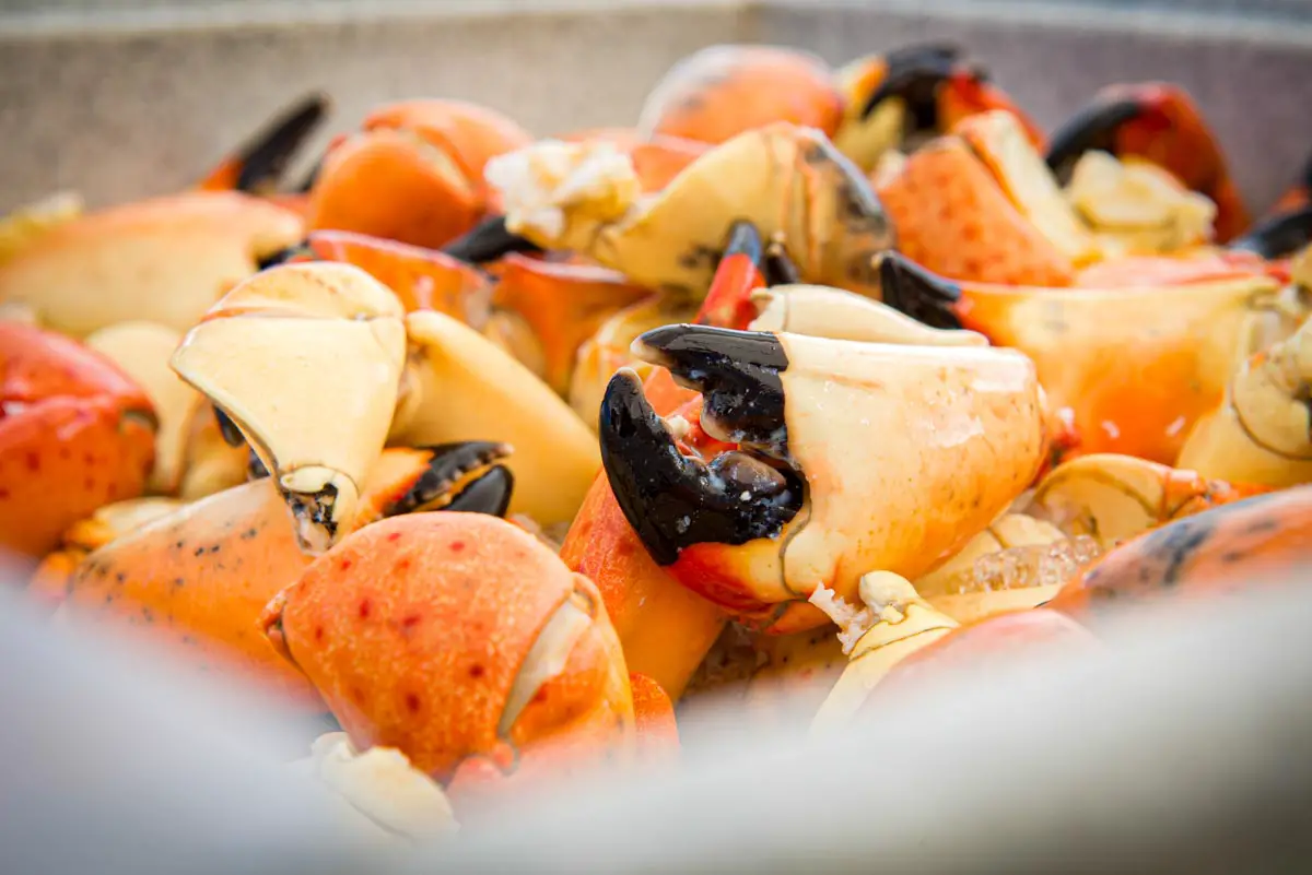 Fresh Chilled Stone Crab Claws