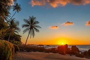 Sunset along the volcanic rock beach of Corcovado National Park in Costa Rica, Central America