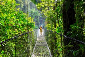 Man hikes across hanging bridge in tropical jungle of Costa Rica