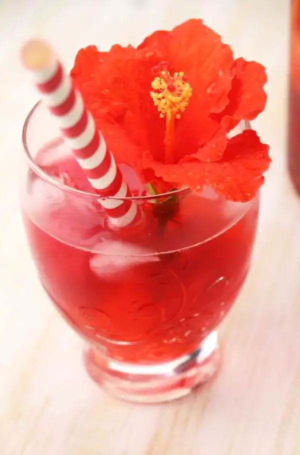 Hibiscus sangria