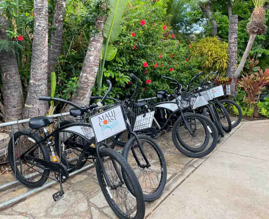 Bikes parked at a bike stand available for hotel guests at Maui Coast Hotel in Kihei, Hawaii, on the island of Maui