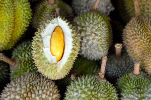 Group of durian, an exotic fruit from Southeast Asia, at a market