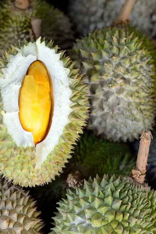 Group of durian, an exotic fruit from Southeast Asia, at a market