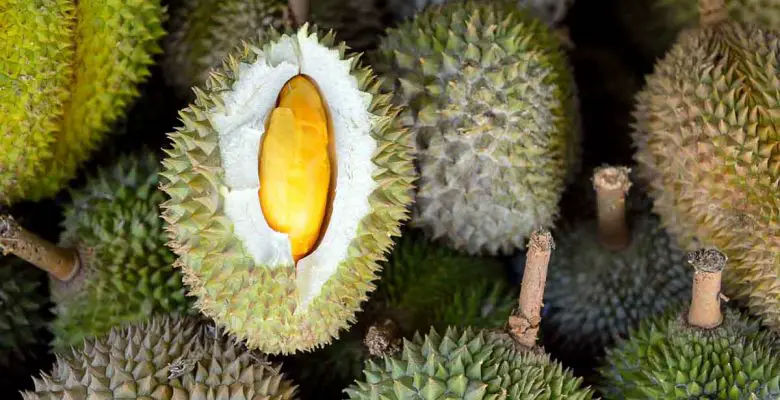 Group of durian, an exotic fruit from Southeast Asia, at a market