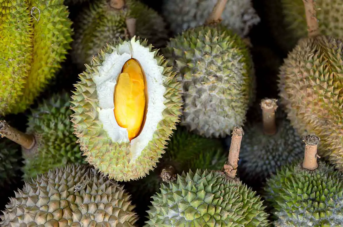 Group of durian, an exotic fruit from Southeast Asia, at a market